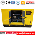 Générateur diesel portatif électrique ATS de puissance de moteur de 15kw Weifang Ricardo